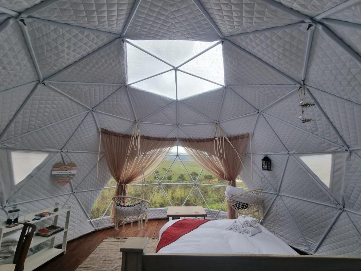 Pom Gratz - Ecodomes Hotel Hartebeesrivier ภายนอก รูปภาพ