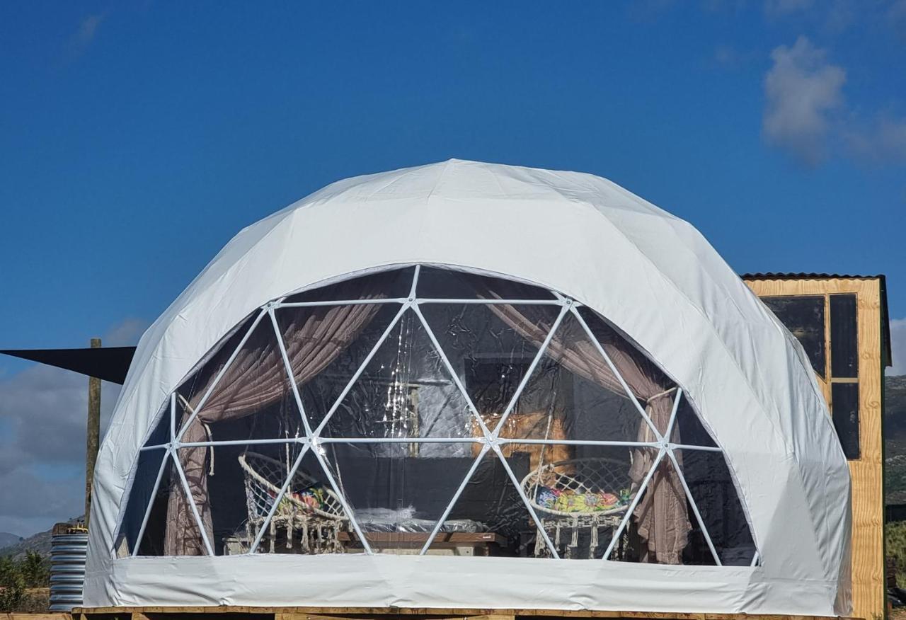 Pom Gratz - Ecodomes Hotel Hartebeesrivier ภายนอก รูปภาพ