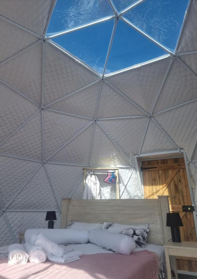Pom Gratz - Ecodomes Hotel Hartebeesrivier ภายนอก รูปภาพ