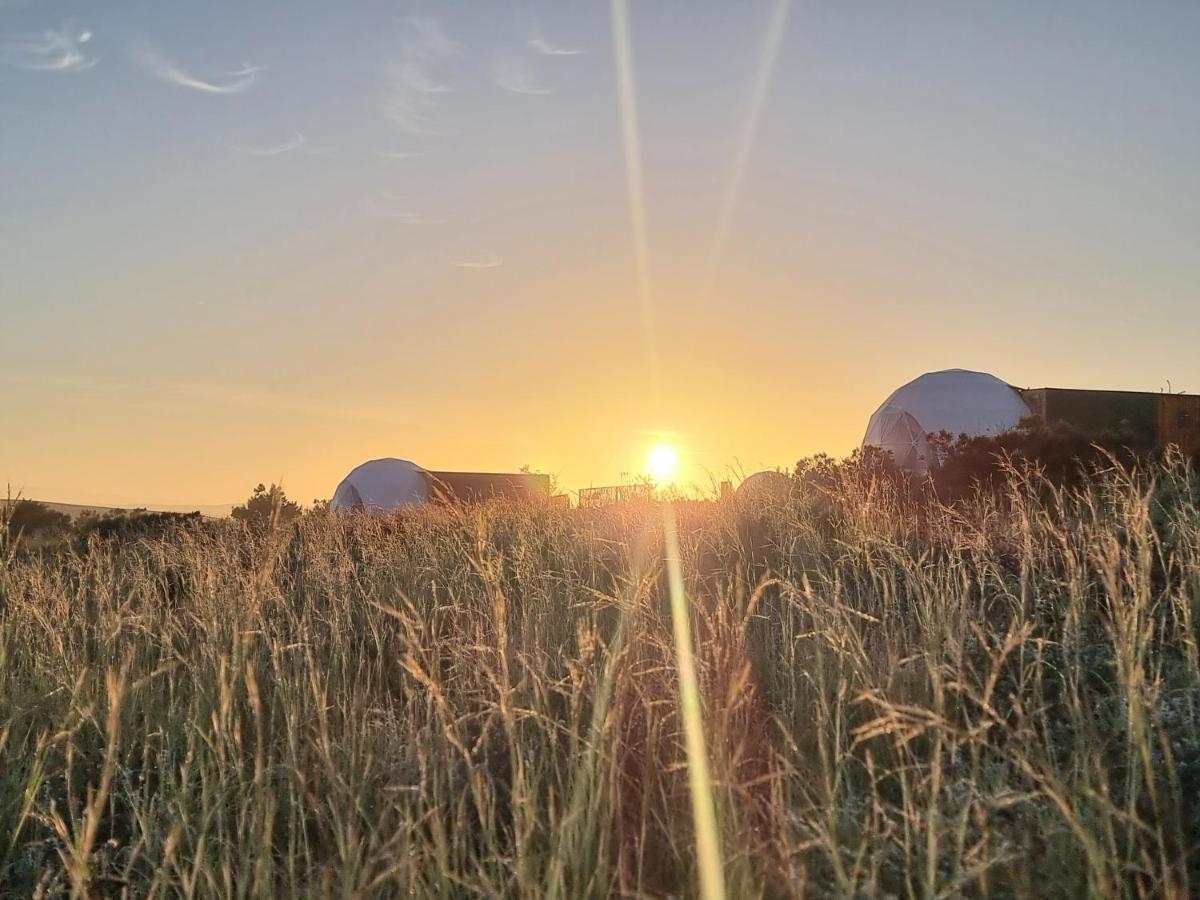 Pom Gratz - Ecodomes Hotel Hartebeesrivier ภายนอก รูปภาพ
