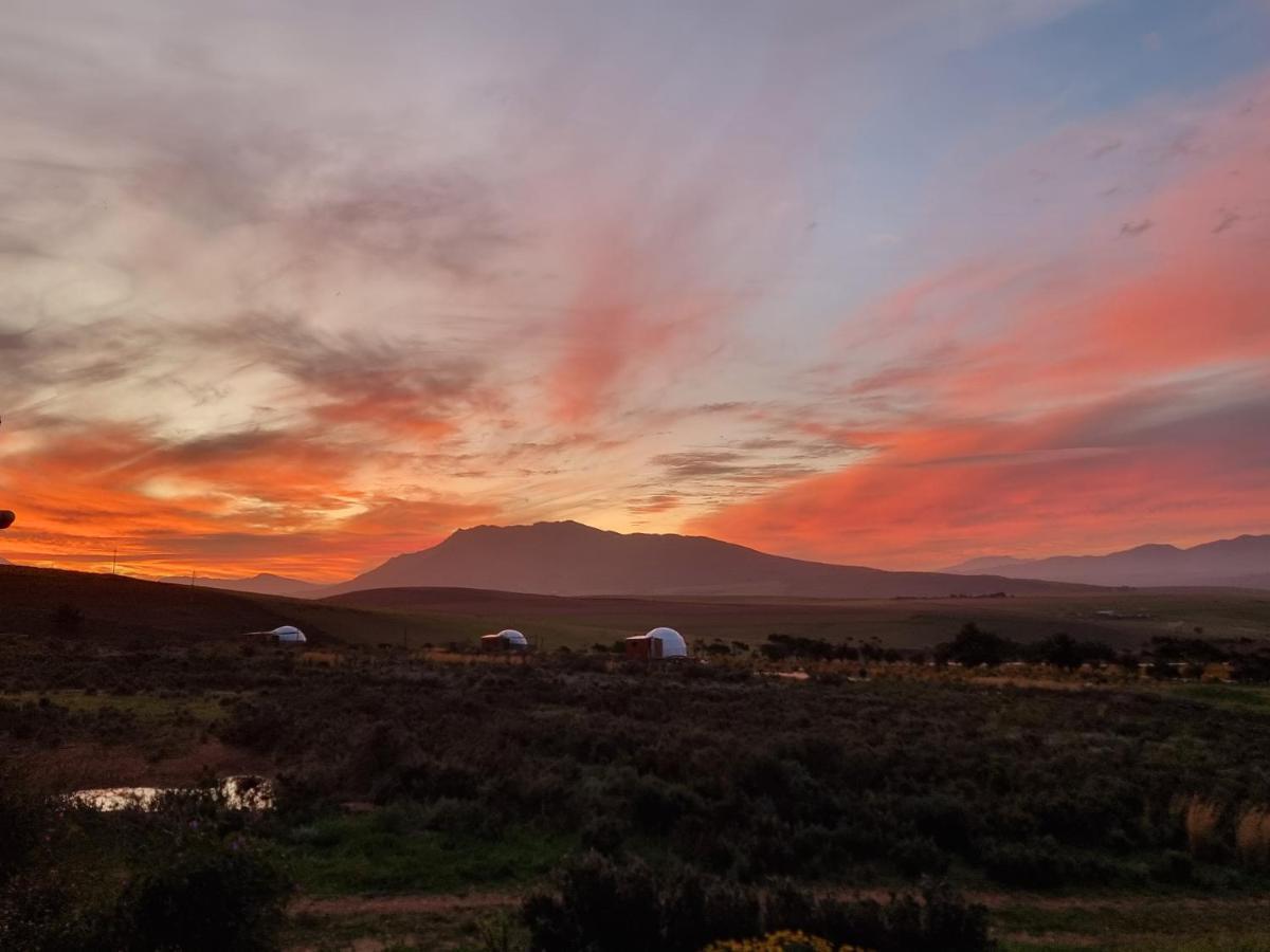 Pom Gratz - Ecodomes Hotel Hartebeesrivier ภายนอก รูปภาพ